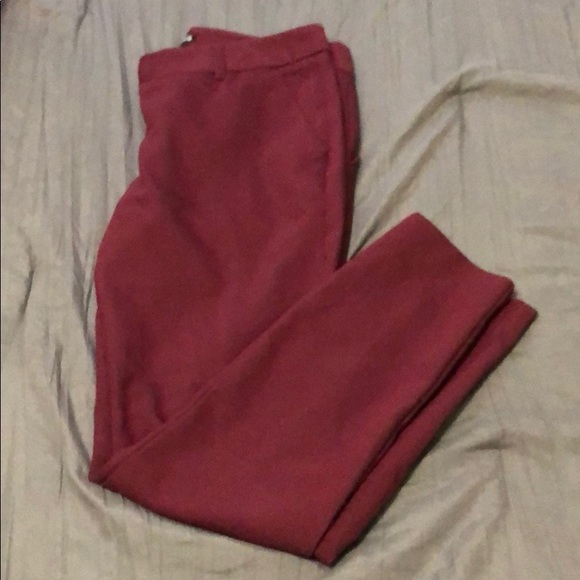 Pants - Express Columnist pants